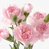 nhatphuong1524
