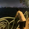 thehoang88