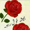 khizarhayyat316