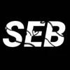 _sebastian_2005_
