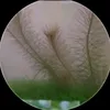 mnrfb22