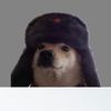 staystrapedorgetsmacked