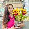 thao.nguyen.xanh