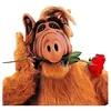 alfredpicus