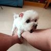 godfrey_715