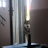 tvoja_mamica_____