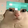 mrkismas