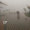nadosh_55