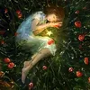 dreamsofalpha