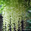 huongha19.99