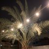 mohammad_00mm
