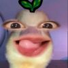 its_equinaa