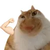 orrre_o