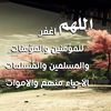 aboshaherr