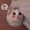 link.tiktok.cua.tui