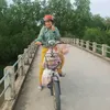 haubanhxeo_1803