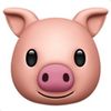 lilpiglet1497