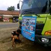 deyonslank1