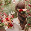 17.daisy_5