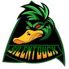 silentduck.ttv