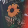 seriousearth8