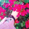emanmahamad75