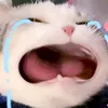 toan_869