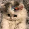 riya_amllia1501