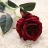 nora_99991