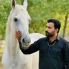 safdarali6637