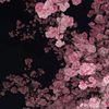 yyy.sss.029