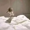 remonkovaaks