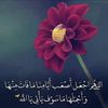 ehlam19