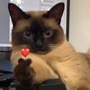 scrappycoco143