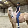 amigo_showjumping