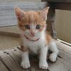 emomar0_