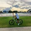 pia_story