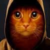 whois_hellowkitty