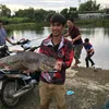 vietviet311
