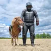 dangerousrider