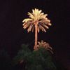 قصمان 🌴.