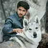 alvi527712519