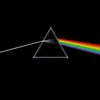 maroneed
