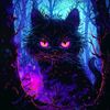 gatto9vidas