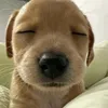 le_dmih22