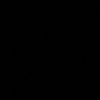 31501784017