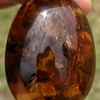 tertragramicon