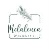 melaleucawildlife
