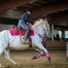 Lisas kleine Ranch 🐴