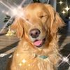 daisydottie